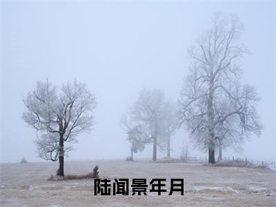 陆闻景年月（陆闻景年月）全文免费阅读无弹窗_陆闻景年月最新小说_笔趣阁（陆闻景年月）