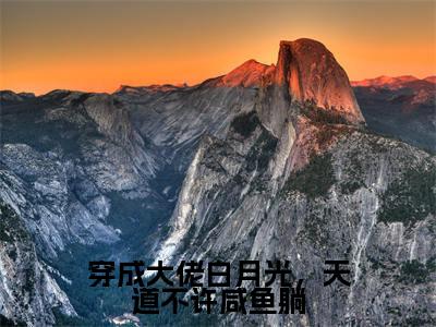 穿成大佬白月光，天道不许咸鱼躺（苏月见南宫漓）全文免费阅读无弹窗大结局_穿成大佬白月光，天道不许咸鱼躺完本小说最新章节阅读