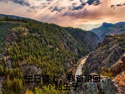 生日宴上,我爸带回个私生子(顾永澜)全文免费阅读无弹窗大结局_(生日宴上,我爸带回个私生子)最新章节列表_顾永澜