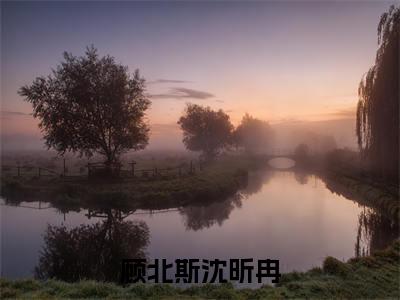 顾北斯沈昕冉（沈昕冉顾北斯）全文免费阅读无弹窗大结局_顾北斯沈昕冉在线阅读笔趣阁