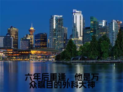 姜枝鱼季星庭六年后重逢,他是万众瞩目的外科大神完整全文在线阅读姜枝鱼季星庭全文大结局阅读无弹窗