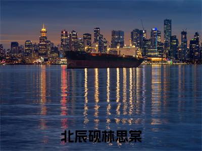 北辰砚林思棠全文免费阅读无弹窗大结局_林思棠北辰砚无弹窗全文阅读