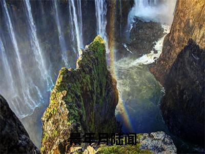 【新书】景年月陆闻全文全章节免费阅读-陆闻景年月小说免费阅读无弹窗最新章节列表