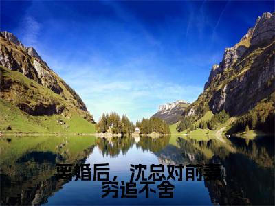 (热推新书)《离婚后,沈总对前妻穷追不舍》沈泽云无弹窗阅读_离婚后,沈总对前妻穷追不舍最新章节列表_笔趣阁