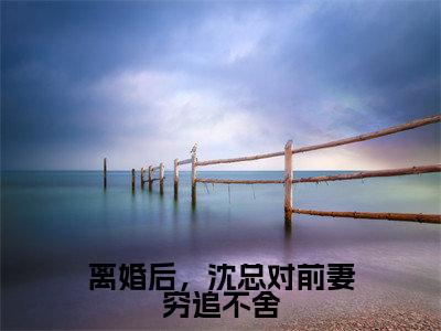 离婚后,沈总对前妻穷追不舍(沈泽云)小说免费阅读完结版-离婚后,沈总对前妻穷追不舍小说全文免费阅读(沈泽云后续+全集)