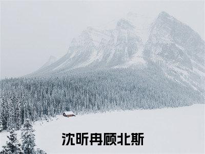 （沈昕冉顾北斯）最新免费小说大结局-小说沈昕冉顾北斯沈昕冉顾北斯全文免费在线阅读