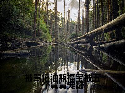 被骂拖油瓶福宝被五个舅舅宠翻全文免费阅读无弹窗大结局_被骂拖油瓶福宝被五个舅舅宠翻(姜浅)小说结局免费阅读(姜浅)