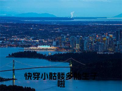 《快穿小骷髅多胎生子啦完整小说》温暖完结版全章节阅读