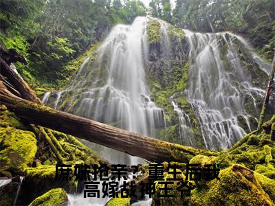 墨严晨许流光(庶妹抢亲?重生后我高嫁战神王爷)全文免费阅读-(墨严晨许流光)庶妹抢亲?重生后我高嫁战神王爷最新章节小说阅读-笔趣阁