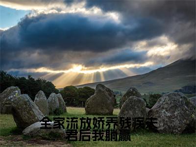全家流放娇养残疾夫君后我躺赢美文欣赏完整版，周泽琛宁织精彩章节在线阅读