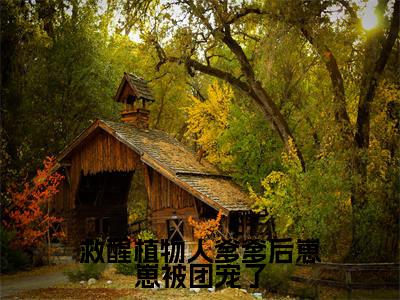 免费+番外姜月蔺全文免费阅读大结局救醒植物人爹爹后崽崽被团宠了小说最新章节阅读无弹窗
