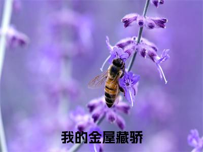 宁屹川承悦禾（我的金屋藏骄）完整版小说阅读_我的金屋藏骄全文免费阅读笔趣阁（宁屹川承悦禾）