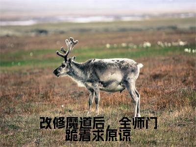 黎惜司镜最新完结免费阅读-改修魔道后，全师门跪着求原谅悬疑小说在线阅读
