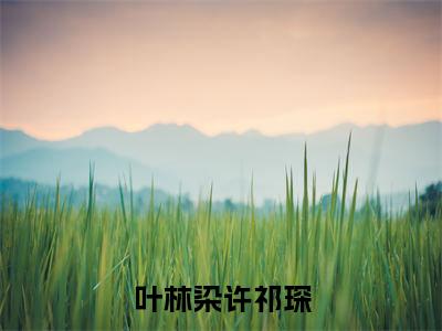 叶林染许祁琛（许祁琛叶林染）小说全文免费阅读-叶林染许祁琛（许祁琛叶林染）小说免费版最新更新阅读