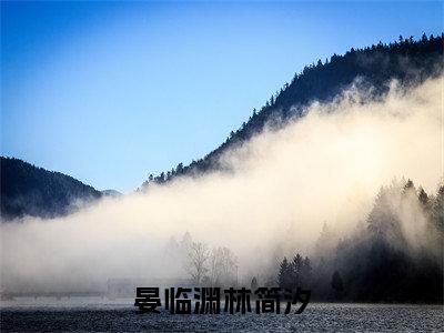 晏临渊林简汐小说最新试读_（林简汐晏临渊免费阅读最新章节列表）_笔趣阁