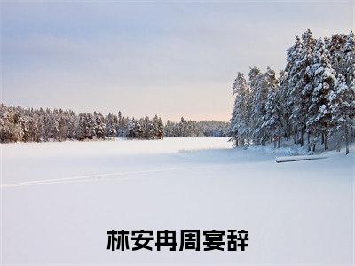 林安冉周宴辞（周宴辞林安冉小说）最新在线阅读_周宴辞林安冉小说免费阅读