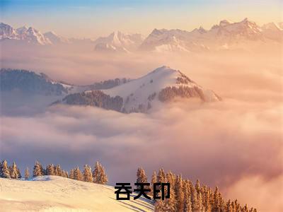 吞天印（苏武）小说最新章节-小说吞天印（苏武）完整版全文在线赏析