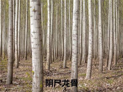 阴尸龙骨珍藏美文读物陈天难-陈天难已完结全集大结局小说阴尸龙骨