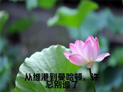 从维港到曼哈顿，许总别追了周言许一凡完整版最新小说大结局，从维港到曼哈顿，许总别追了免费完结版