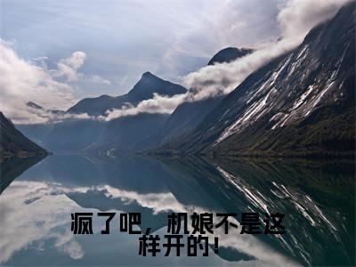《疯了吧，机娘不是这样开的！》无弹窗大结局-（陈雪莹江浩）无弹窗阅读最新章节列表_笔趣阁