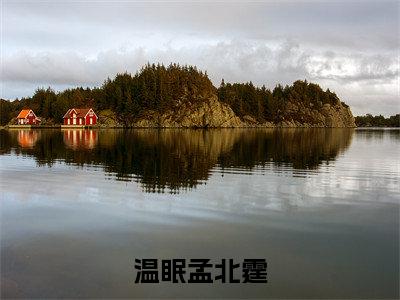 温眠孟北霆（孟北霆温眠）全文完整版免费阅读_孟北霆温眠（温眠孟北霆全文免费阅读）最新章节列表