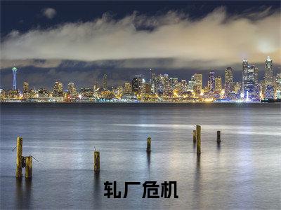 轧厂危机(李斌)全文免费阅读无弹窗大结局_(李斌)小说免费阅读最新章节列表