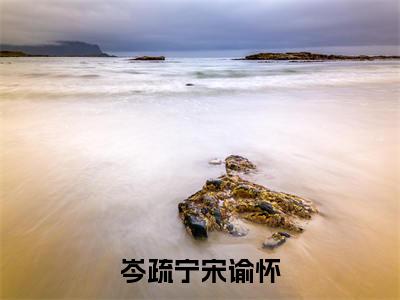 岑疏宁宋谕怀(宋谕怀岑疏宁)小说全文免费阅读无弹窗-岑疏宁宋谕怀全章节在线阅读