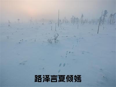 路泽言夏倾嫣（夏倾嫣路泽言）全文免费阅读无弹窗大结局_路泽言夏倾嫣（夏倾嫣路泽言）全文阅读_笔趣阁