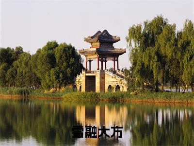 雪融大方（萧砚清林卿）在哪免费看-雪融大方小说（萧砚清林卿）全文完整版免费阅读