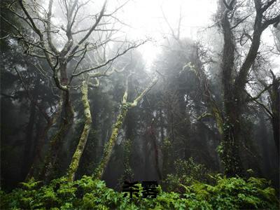 李津阳(杀雾)小说在线阅读_李津阳全本免费小说阅读大结局(杀雾)