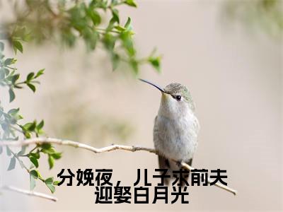 分娩夜，儿子求前夫迎娶白月光（姜瑜）最新免费小说-姜瑜（分娩夜，儿子求前夫迎娶白月光）全文全章节免费阅读