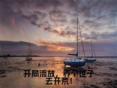 沈宁小说全文(开局流放,养个世子去开荒!)在线阅读-沈宁全文免费阅读无弹窗大结局