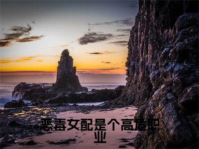 恶毒女配是个高危职业（傅时骁苏瑾南）全文免费阅读无弹窗大结局_（恶毒女配是个高危职业）傅时骁苏瑾南全文免费完结版阅读