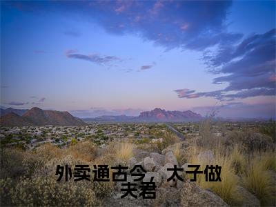 外卖通古今,太子做夫君全文免费阅读无弹窗(小说全文免费阅读)陵轻舟江逸澈最新章节列表