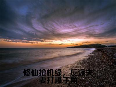 修仙抢机缘，反派夫妻打爆主角（苍凌雪）全文免费阅读无弹窗大结局_修仙抢机缘，反派夫妻打爆主角最新章节列表-笔趣阁苍凌雪