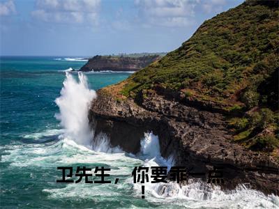 司妤柠卫闻璟(卫先生,你要乖一点!)全文在线阅读无弹窗大结局_卫先生,你要乖一点!全文无弹窗最新章节列表
