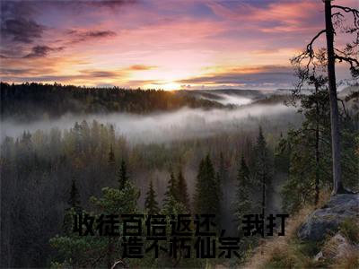 收徒百倍返还,我打造不朽仙宗小说全文-收徒百倍返还,我打造不朽仙宗(林天)最新章节免费阅读