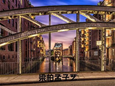 孟子艺梁柏（梁柏孟子艺）全文在线阅读无弹窗大结局_孟子艺梁柏精选免费小说大结局阅读_梁柏孟子艺