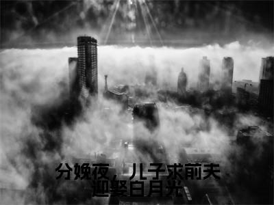 分娩夜,儿子求前夫迎娶白月光(分娩夜,儿子求前夫迎娶白月光)小说在线阅读_分娩夜,儿子求前夫迎娶白月光全本免费小说阅读(姜瑜)