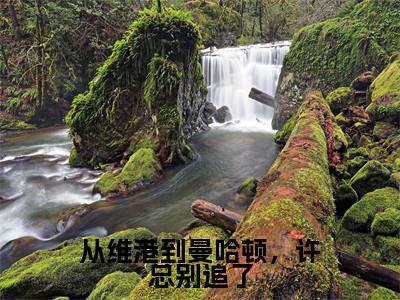 从维港到曼哈顿，许总别追了（许一凡周言）全文免费阅读无弹窗大结局_（许一凡周言）从维港到曼哈顿，许总别追了最新章节列表_笔趣阁