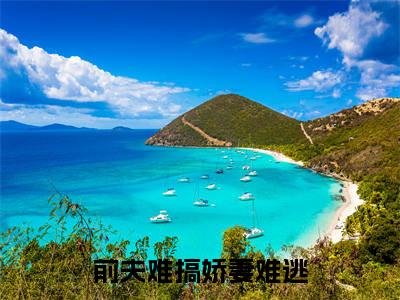 前夫难搞娇妻难逃傅慕旋厉墨池是什么小说-前夫难搞娇妻难逃全文免费阅读无弹窗大结局（傅慕旋厉墨池）最新章节列表在线阅读
