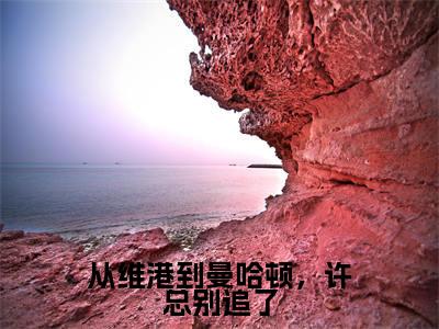 从维港到曼哈顿，许总别追了免费阅读无弹窗大结局-许一凡周言（从维港到曼哈顿，许总别追了最新全章节大结局）全文阅读