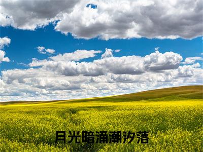 月光暗涌潮汐落(沈时砚宋舒夏)全文免费阅读无弹窗大结局_(沈时砚宋舒夏)小说免费阅读无弹窗最新章节列表
