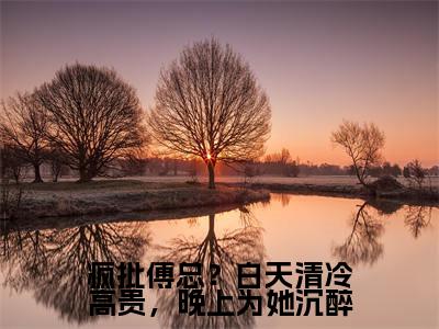 傅烨寒孟薇今日阅读更新，疯批傅总？白天清冷高贵，晚上为她沉醉全文在线看