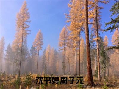 沈书婷周子元小说(沈书婷周子元)全文免费阅读无弹窗大结局_沈书婷周子元小说免费阅读无弹窗最新章节列表