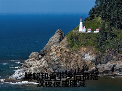 （结局）+（免费）江野谢娇娇是哪部小说的主角，腰软知青下乡后被糙汉夜夜搂腰宠全文在线赏析