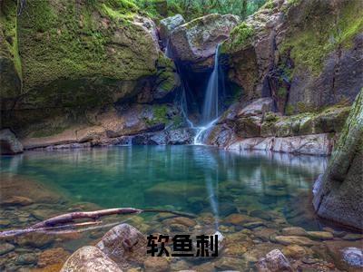 软鱼刺（盛闻余温）全文免费阅读无弹窗大结局_软鱼刺最新章节列表_笔趣阁