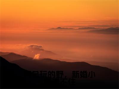 厉总玩的野，新婚小妻遭不住（童晚书厉邢）全文免费阅读无弹窗大结局_童晚书厉邢最新章节列表