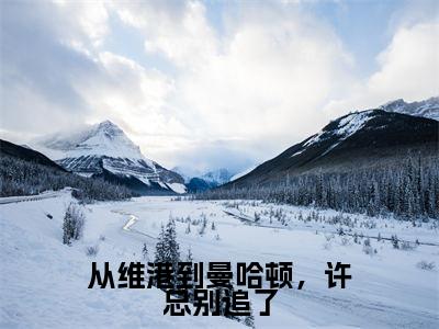 从维港到曼哈顿,许总别追了(许一凡周言)小说全文免费阅读无弹窗大结局_从维港到曼哈顿,许总别追了小说免费阅读最新章节列表笔趣阁(许一凡周言)