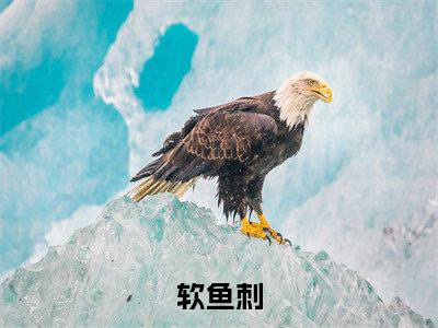 软鱼刺(余温盛闻)全文免费阅读无弹窗完整版,(软鱼刺)免费阅读全文最新章节列表_笔趣阁
